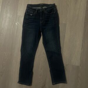 Judy Blue Dark Wash Skinny Jeans